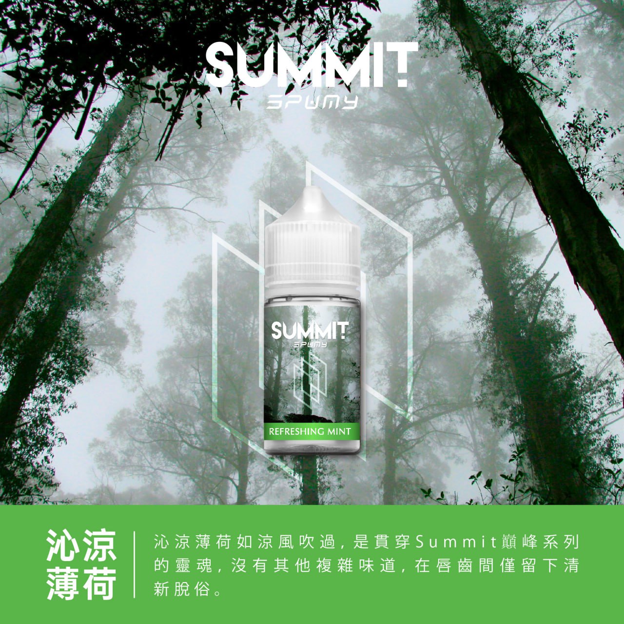 SUMMIT 薄荷系列煙油 | 椰林冰泉、冰晶薄荷、清新不甜膩小煙油 | 30ML/MG極致冰涼體驗-VAKA糖果雲煙館